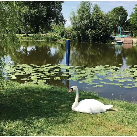 In 19281 Balatonmáriafürdő